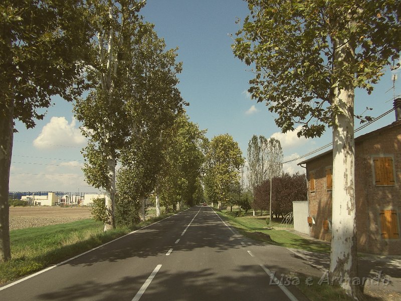 verso felonica 668.JPG